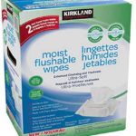 KIRKLAND SIGNATURE MOIST FLUSHABLE WIPES